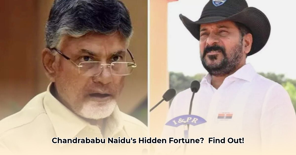 chandrababu-naidu-net-worth